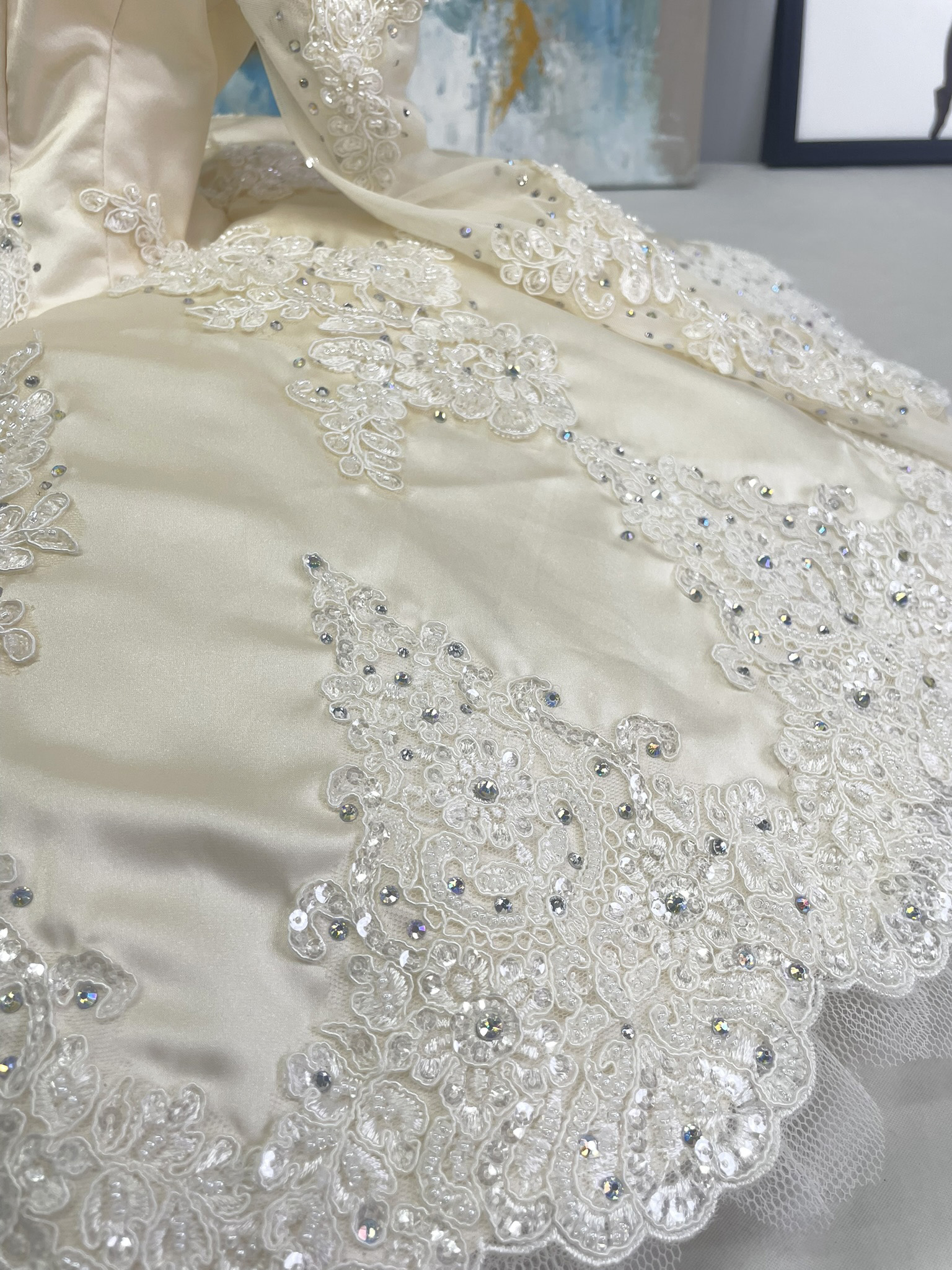 Nutcracker Sugar Plum Fairy Tutu