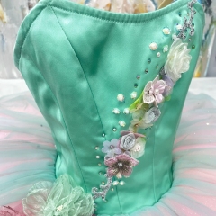 Cinderella Spring Fairy Ballet Costume