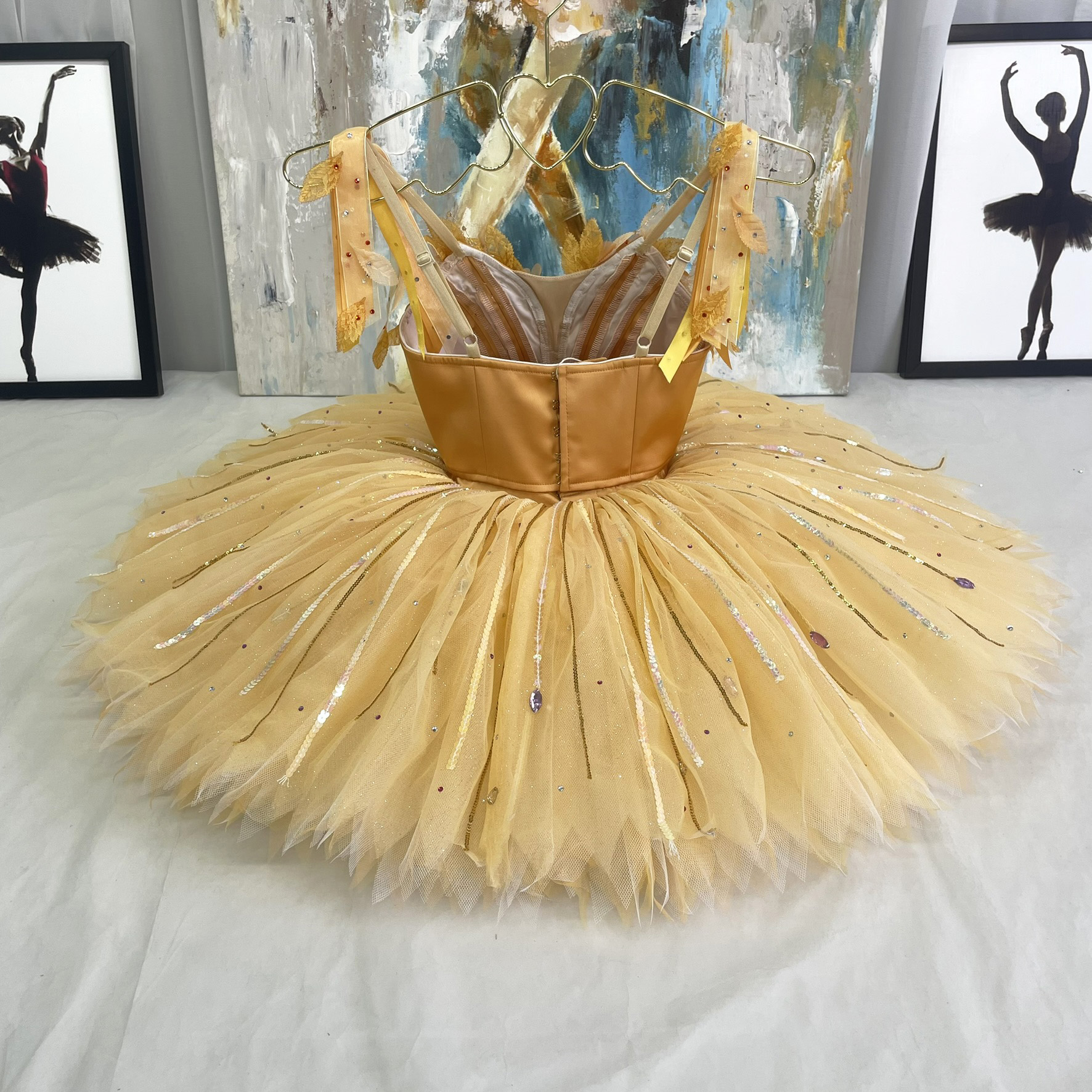 Fairy of Generosity Ballet Costume