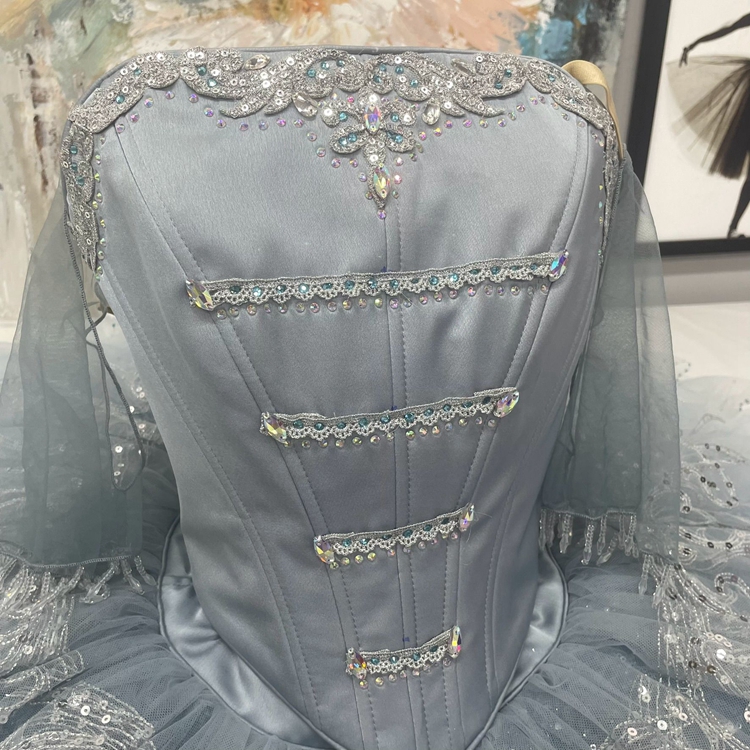 Cinderella Dance Ballet Costume