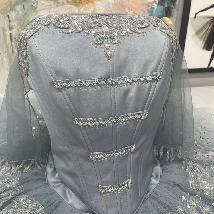 Cinderella Dance Ballet Costume