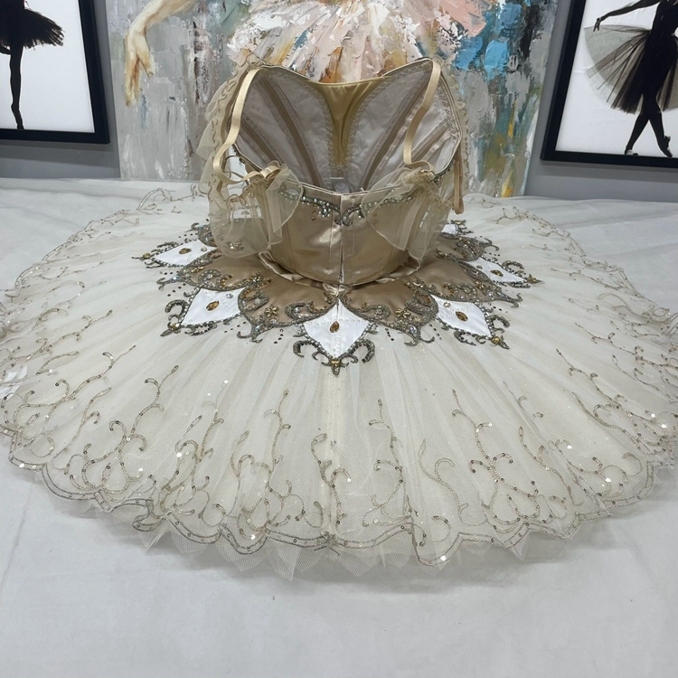 Cinderella Dance Ballet Tutu