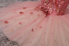 Sugar Plum Fairy Dress