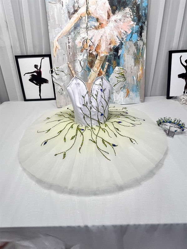 Cinderella Ballerina Tutu