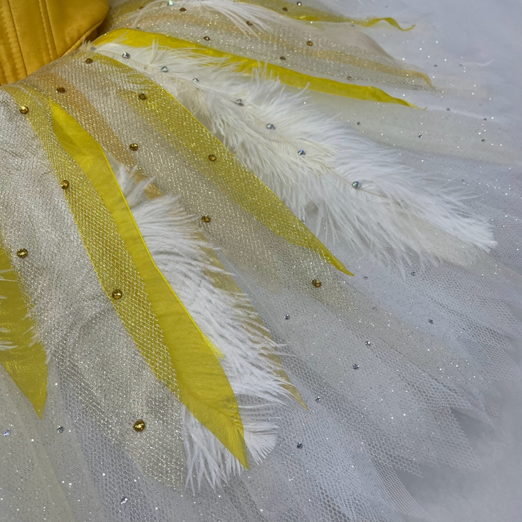 Golden Fairy Ballerina Costume