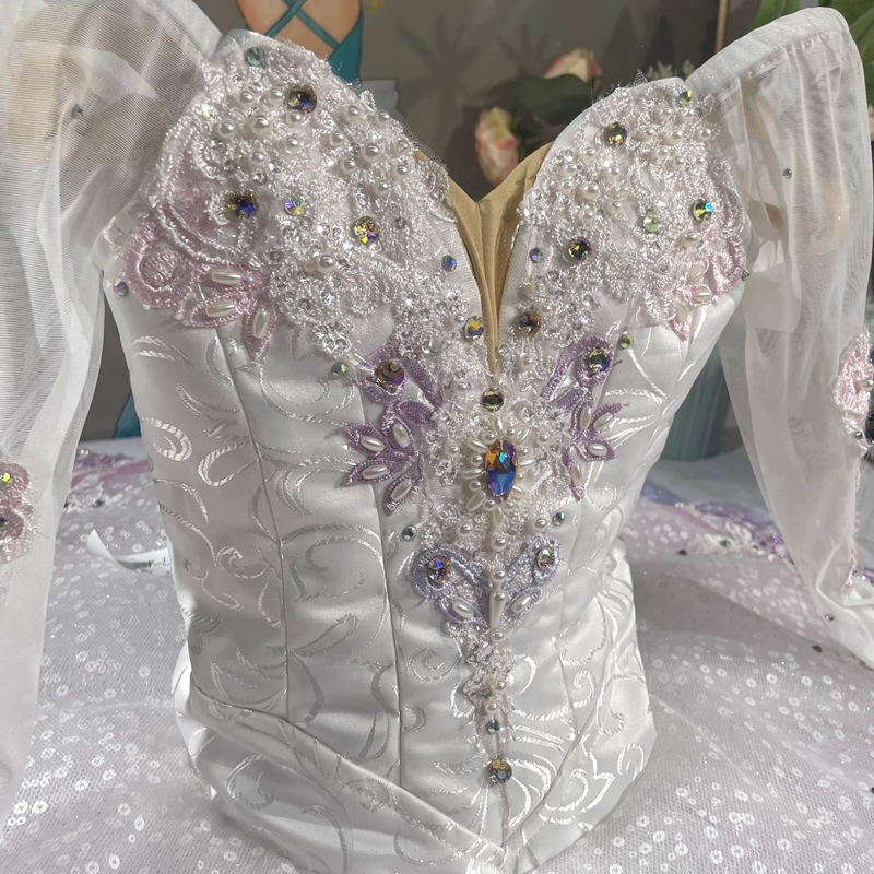 Sleeping Beauty Fairies Ballerina Costume