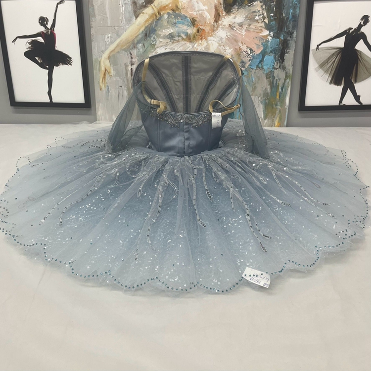 Cinderella Dance Ballet Costume