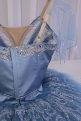 Princess Florine Costume