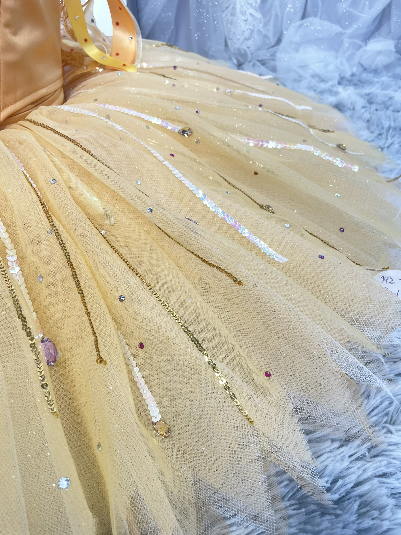 Fairy of Generosity Ballet Costume