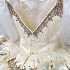 Princess Aurora Costume Adults