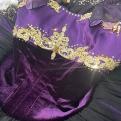 La Bayadere Gamzatti Ballet Costume