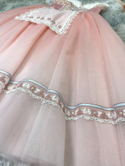 Princess Giselle Costume