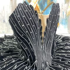 Swan Lake Odette Costume
