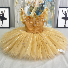 Fairy of Generosity Ballet Costume