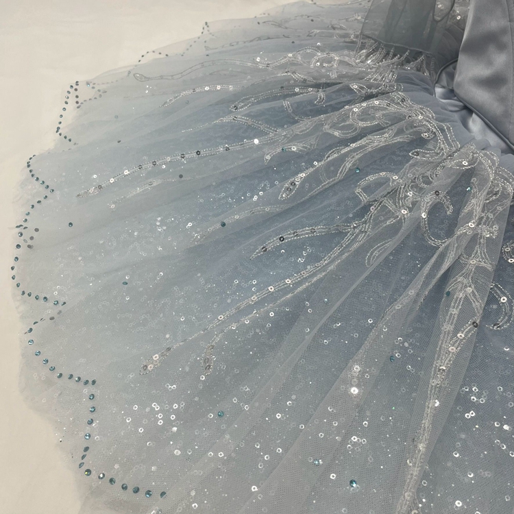 Cinderella Dance Ballet Costume