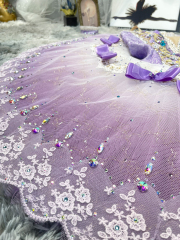 Sugar Plum Princess Ballet Costume