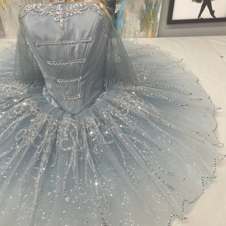 Cinderella Dance Ballet Costume