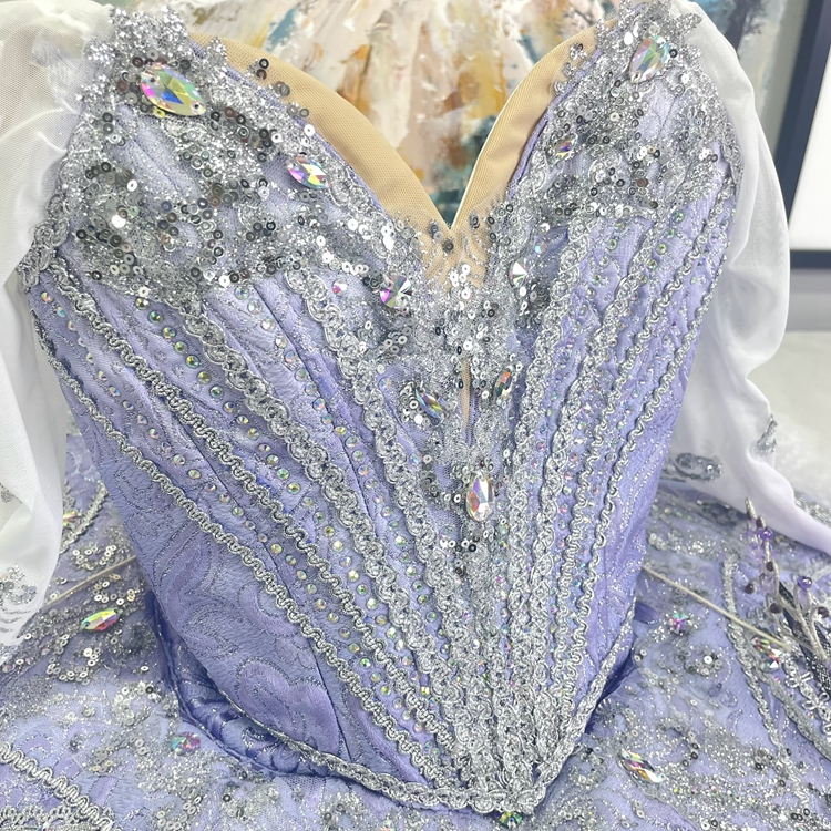 Sugar Plum Fairy Costume Adults