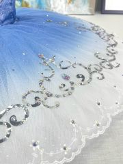 Blue Bird Ballet Costume