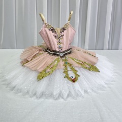 Aurora Costume For Teenager