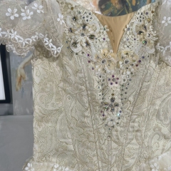 The Awakening of Flora Ballet Dress