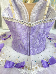 Sugar Plum Princess Ballet Costume