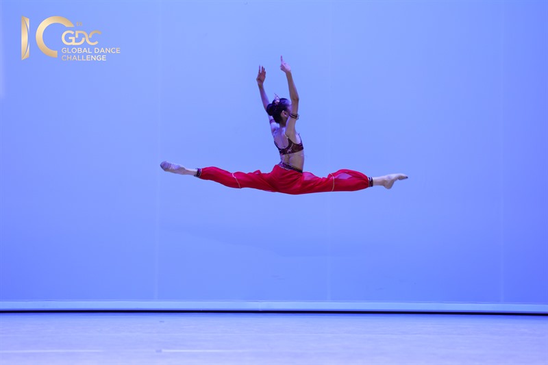 La Bayadere Shades Costume