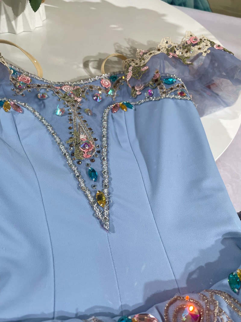Cinderella Dance Costume