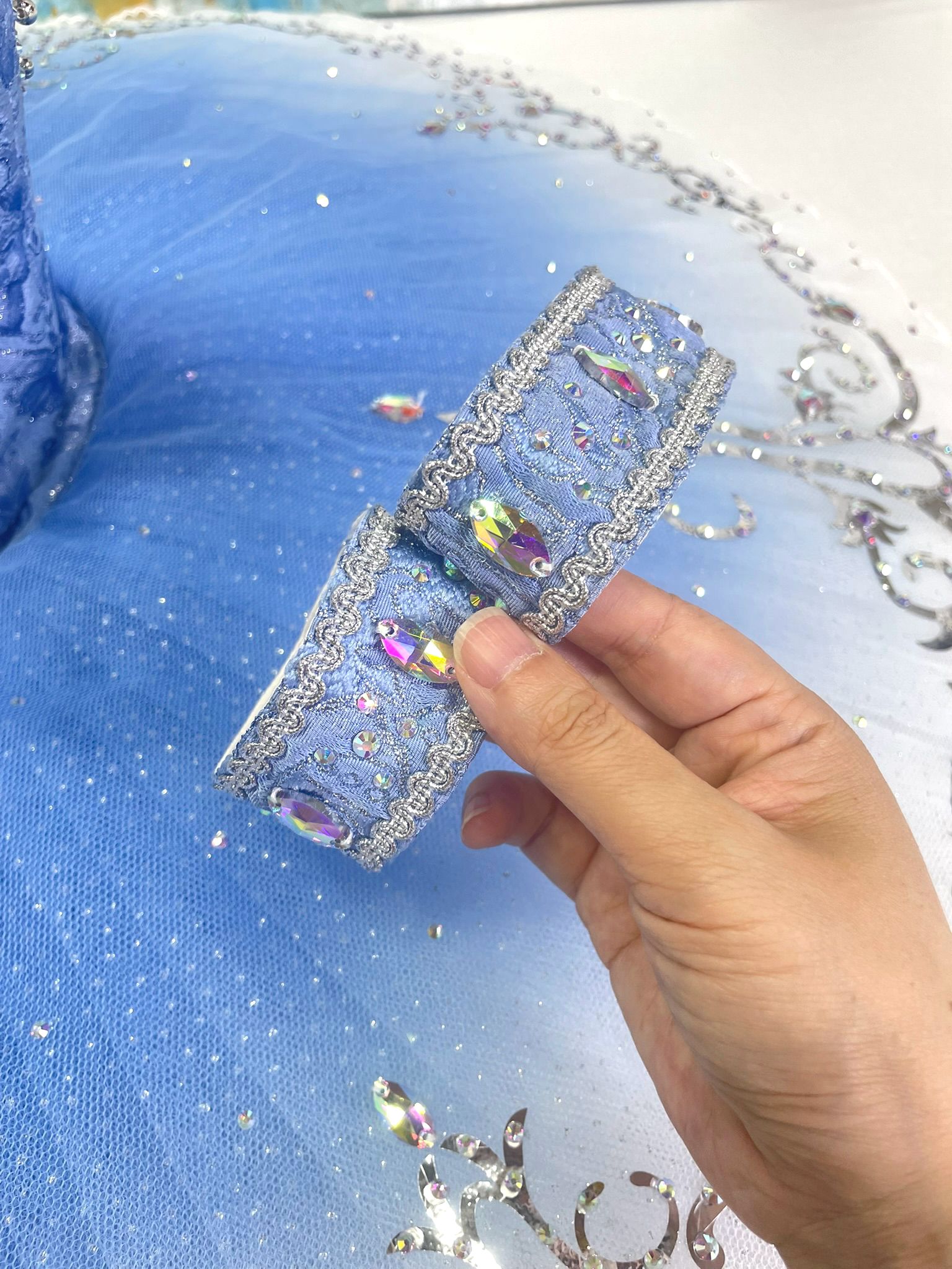 Blue Bird Ballet Costume