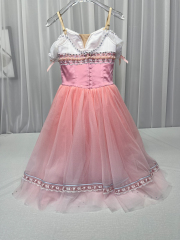 Princess Giselle Costume