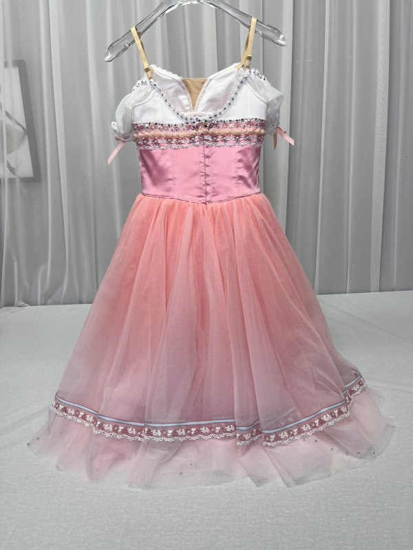 Princess Giselle Costume