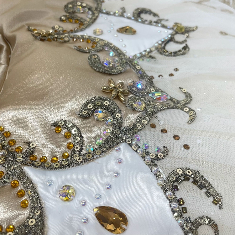 Cinderella Dance Ballet Tutu