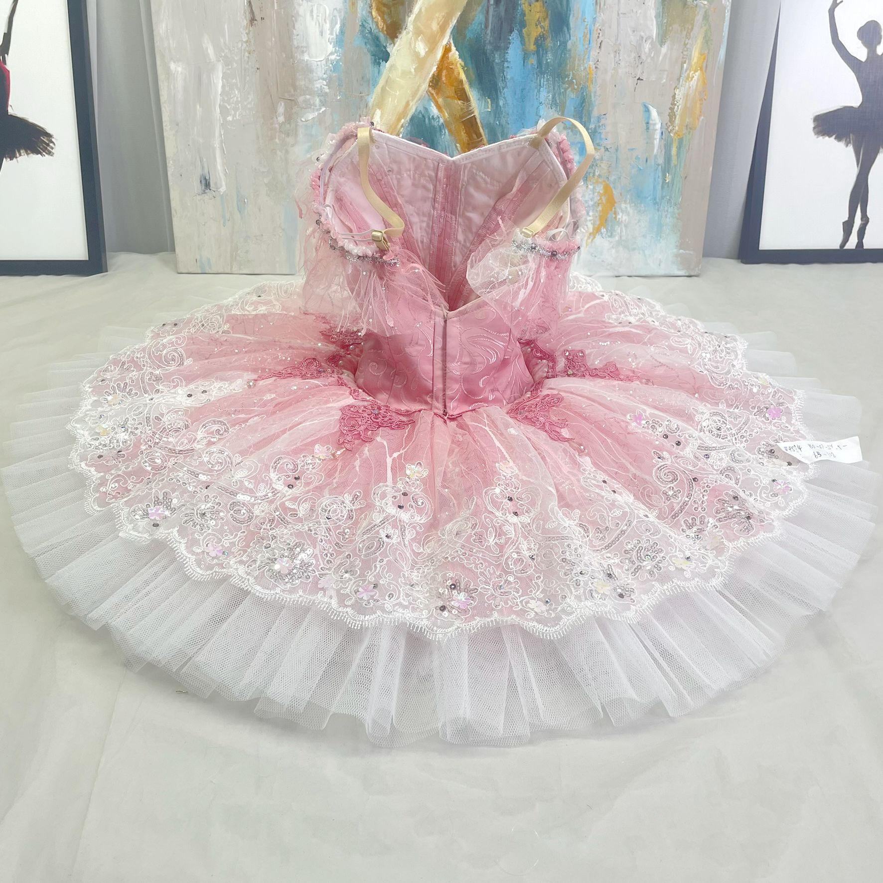 Sleeping Beauty Ballerina Costume Tutu