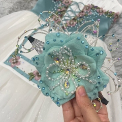 Giselle Costume Enchanted
