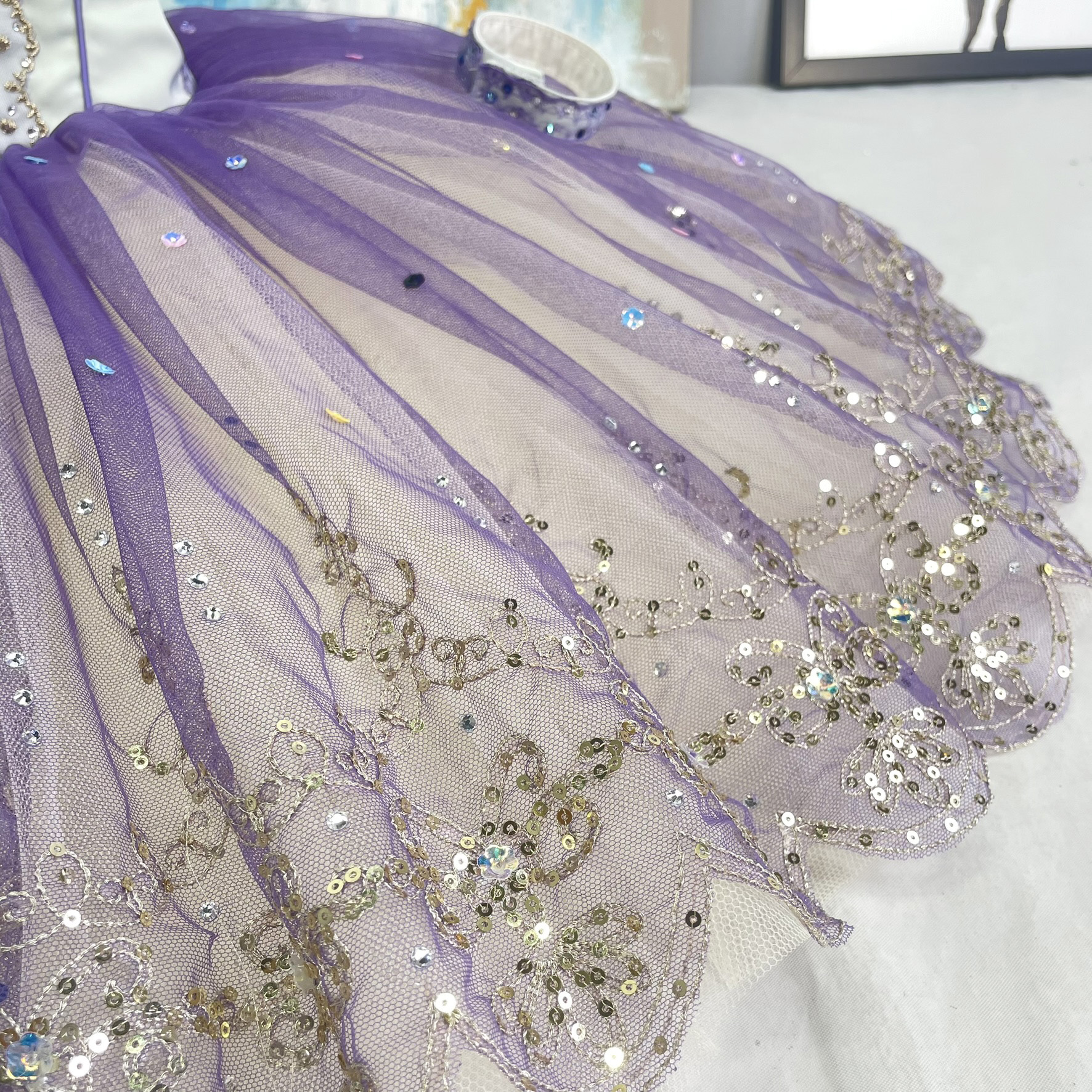 Ballet Sugar Plum Fairy Tutu