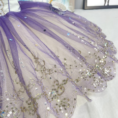 Ballet Sugar Plum Fairy Tutu