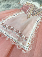 Princess Giselle Costume