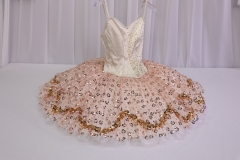 Sugar Plum Fairy Costume Costume