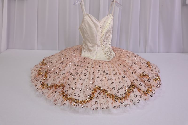 Sugar Plum Fairy Costume Costume