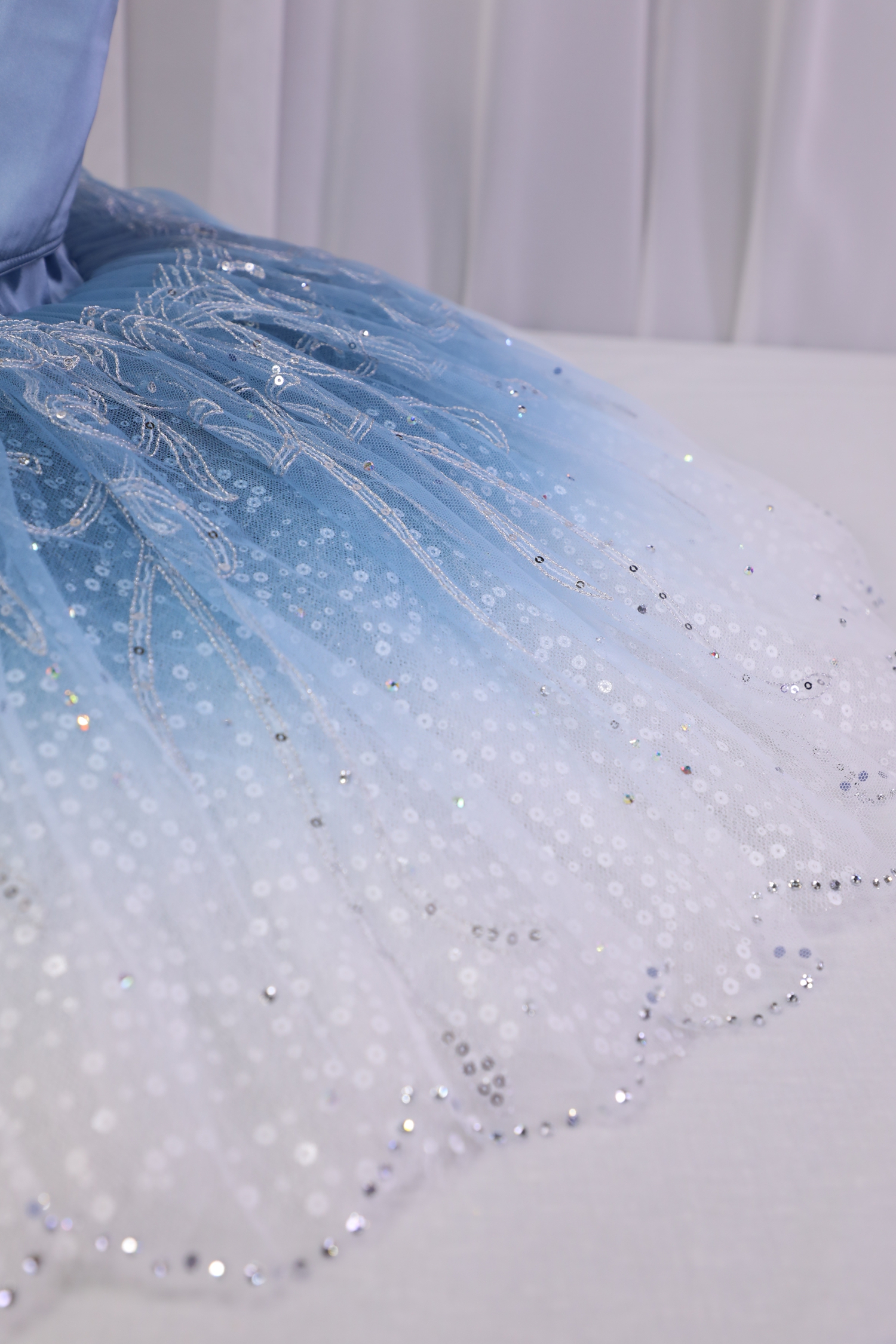 Princess Florine Costume