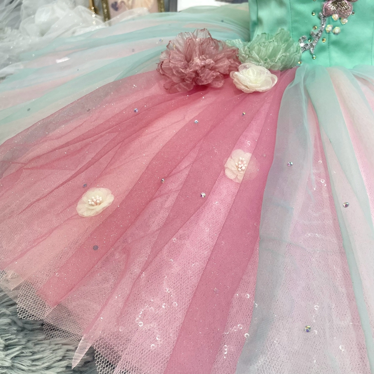 Cinderella Spring Fairy Ballet Costume
