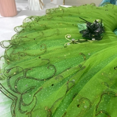 Fairy Costume Sleeping Beauty