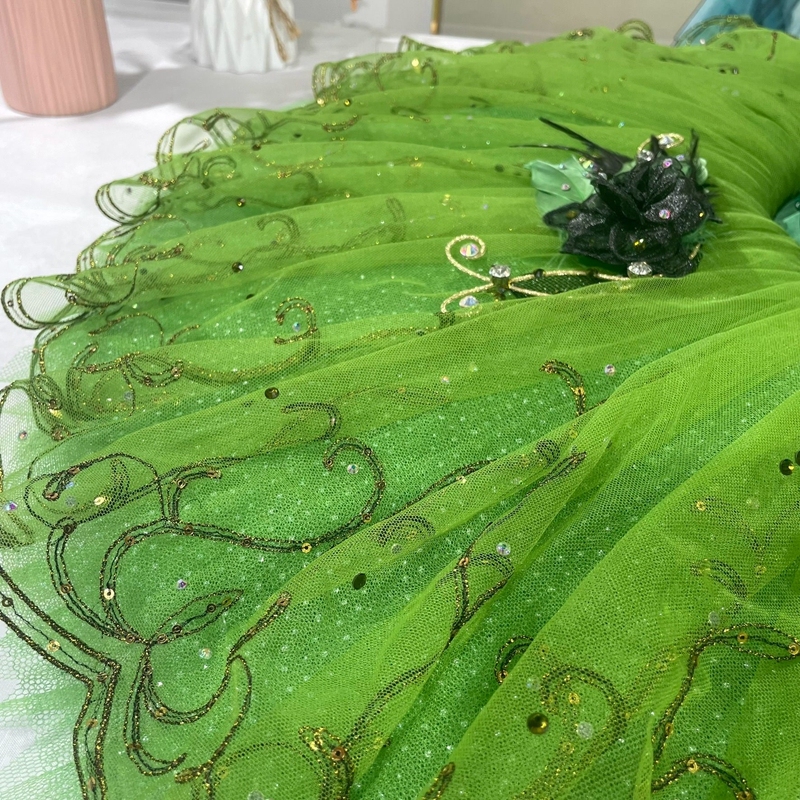 Fairy Costume Sleeping Beauty