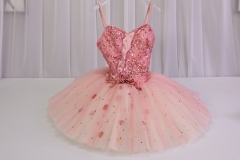 Sugar Plum Fairy Dress