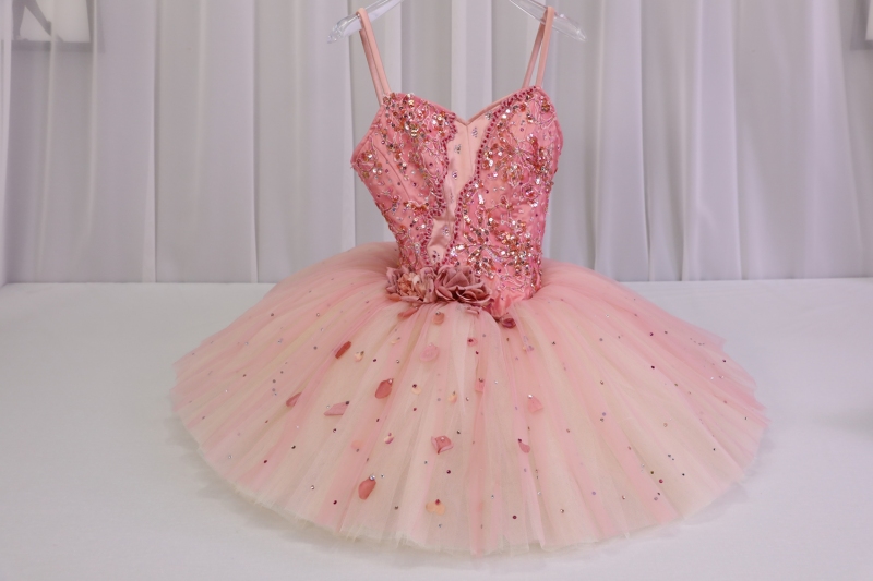 Sugar Plum Fairy Dress