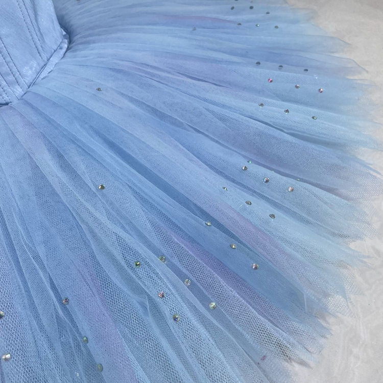 Cinderella Dance Tutu