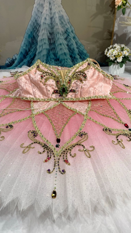 La Bayadere Nikiya Ballet Costume