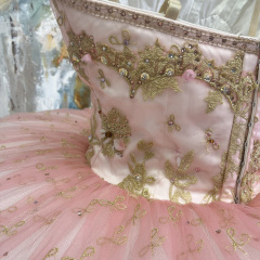 The Sugar Plum Fairy Costume
