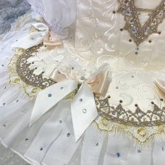 Princess Aurora Costume Adults