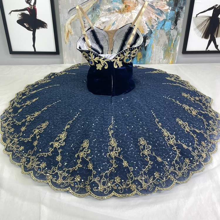 Pharaoh's Daughter Ballet Costume